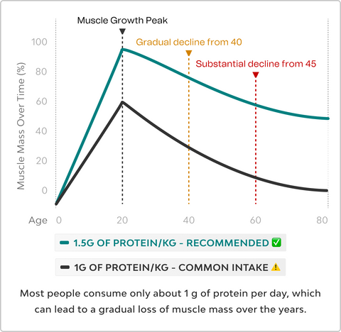 NEXTGEN PLANT PROTEIN