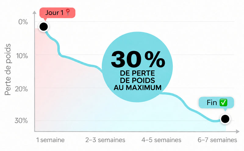 Shake de repas complet pour soutenir la perte de poids
